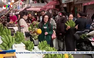 Chợ xuân phố cổ Hà Nội sáng cuối năm