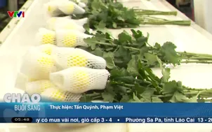 Giá hoa tăng cao những ngày cuối năm