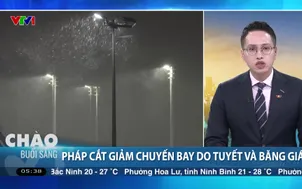 Pháp cắt giảm chuyến bay do tuyết và băng giá