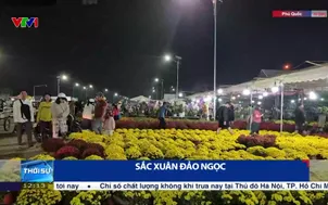 Sắc xuân Đảo Ngọc