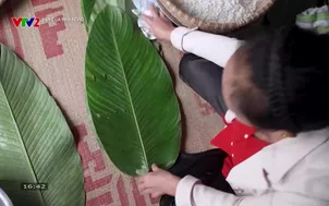 Bạn của nhà nông (2026) - Số 3