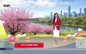 Bản tin thời tiết 19h45 - 20/02/2026