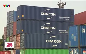 Cảng biển không nghỉ Tết