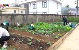 Ánh sáng tri thức: Vì một Việt Nam khỏe mạnh