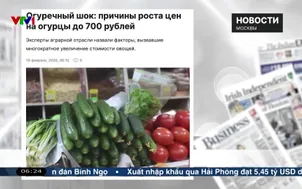 Điểm báo - 22/02/2026