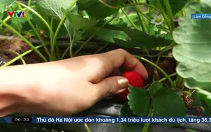 Buổi sáng cùng những nông dân công nghệ