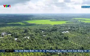 Quê hương trong nhịp sống mới