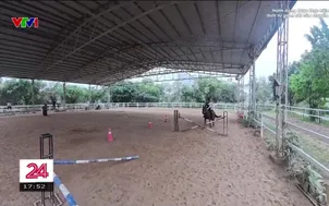 Trào lưu thể thao mạo hiểm cưỡi ngựa vượt chướng ngại vật