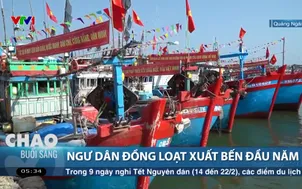 Ngư dân đồng loạt xuất bến đầu năm