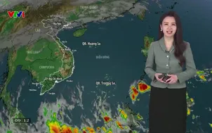 Bản tin thời tiết 9h10 - 24/02/2026