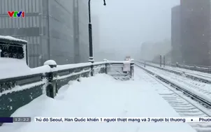 Bão tuyết diện rộng tại bờ Đông nước Mỹ