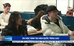 Du học sinh tại Hàn Quốc tăng cao