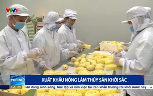 Xuất khẩu nông lâm thủy sản khởi sắc