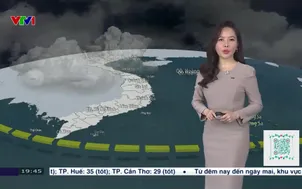 Bản tin thời tiết 19h45 - 25/02/2026