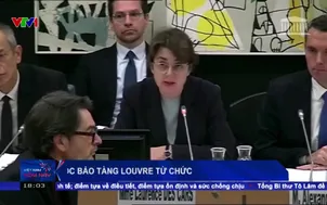 Giám đốc bảo tàng Louvre từ chức