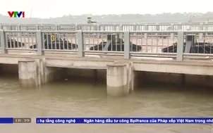 Mực nước sông Hồng xuống thấp