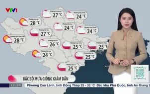 Bản tin thời tiết 12h30 - 26/02/2026