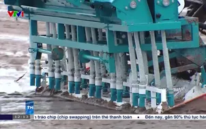 Trồng lúa giảm phát thải tại đòng bằng sông Hồng