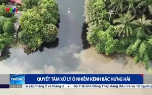 Quyết tâm xử lý ô nhiễm kênh bắc Hưng Hải