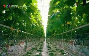 Diễn đàn 68: Không gian tăng trưởng mới