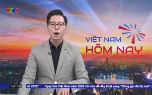 Cần cơ chế cho chuyển đổi taxi điện ở Hà Nội