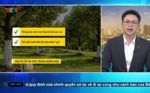 Bản tin thời tiết 5h30 - 02/3/2026