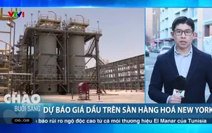 Dự báo giá dầu trên sàn hàng hoá New York