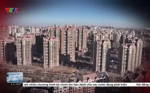 Giới trẻ và lựa chọn thuê nhà dài hạn