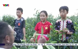 Việt Nam - Điểm đến an toàn, thân thiện