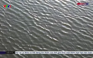 Cấp nước cho người dân ứng phó xâm nhập mặn