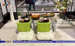 Rực rỡ triển lãm hoa trong nhà tại Philadelphia