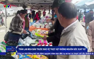 Tràn lan mua bán thuốc bảo vệ thực vật không nguồn gốc xuất xứ