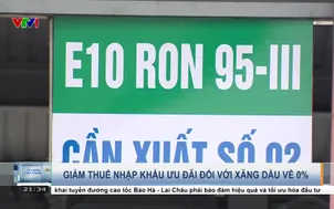 Giảm thuế nhập khẩu ưu đãi đối với xăng dầu về 0%