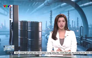 Đa số doanh nghiệp vận tải khách không tăng giá vé