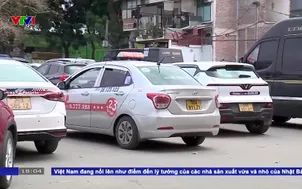 Cước vận tải hành khách điều chỉnh không đáng kể