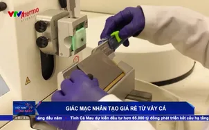 Giác mạc nhân tạo giá rẻ từ vảy cá
