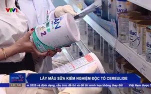 Lấy mẫu sữa kiểm nghiệm độc tố Cereulide