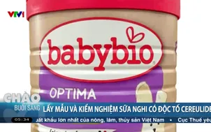 Lấy mẫu và kiểm nghiệm sữa nghi có độc tố Cereulide