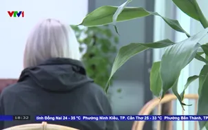 Bì lừa hàng trăm triệu vì bẫy "đánh giá dịch vụ du lịch"