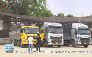 Doanh nghiệp vận tải tối ưu chi phí vận hành 