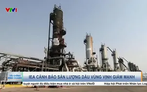 IEA cảnh báo sản lượng dầu vùng vịnh giảm mạnh