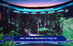 Phát triển mô hình rừng kỹ thuật số