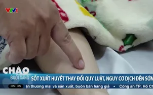 Sốt xuất huyết thay đổi quy luật, nguy cơ dịch đến sớm