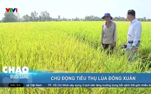 Chủ động têu thụ lúa Đông Xuân