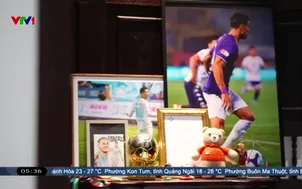 Lần đầu tham gia bầu cử của cầu thủ nhập tịch