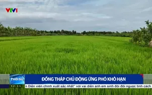 Đồng Tháp chủ động ứng phó khô hạn
