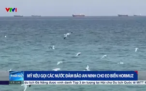 Mỹ kêu gọi các nước đảm bảo an ninh cho eo biển Hormuz