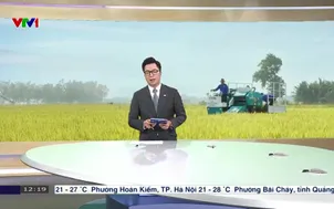 Chủ động tiêu thụ lúa đông xuân