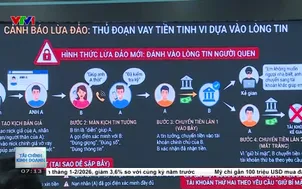 Lừa đảo trực tuyến vẫn hoành hành