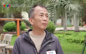 Môi trường và cuộc sống: Không gian xanh và "sức khỏe" đô thị